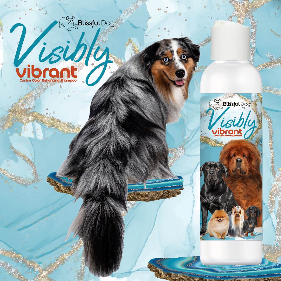 Visibly Vibrant Pet Shampoo by The Blissful Dog