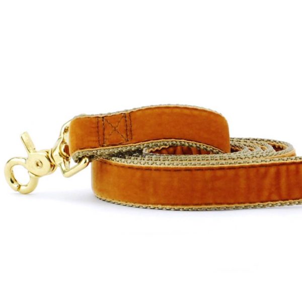 Antique Gold Velvet Dog Leash by 2 Hounds Design