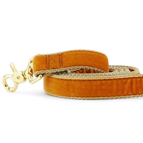 Antique Gold Velvet Dog Leash by 2 Hounds Design