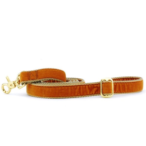 Antique Gold Velvet Dog Leash by 2 Hounds Design