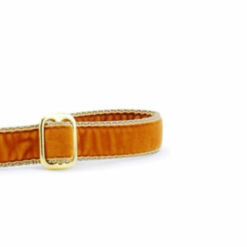 Antique Gold Velvet Dog Leash by 2 Hounds Design