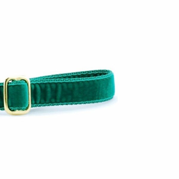 Emerald (Kelly) Velvet Dog Leash by 2 Hounds Design