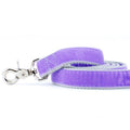 Lavender Velvet Dog Leash by 2 Hounds Design