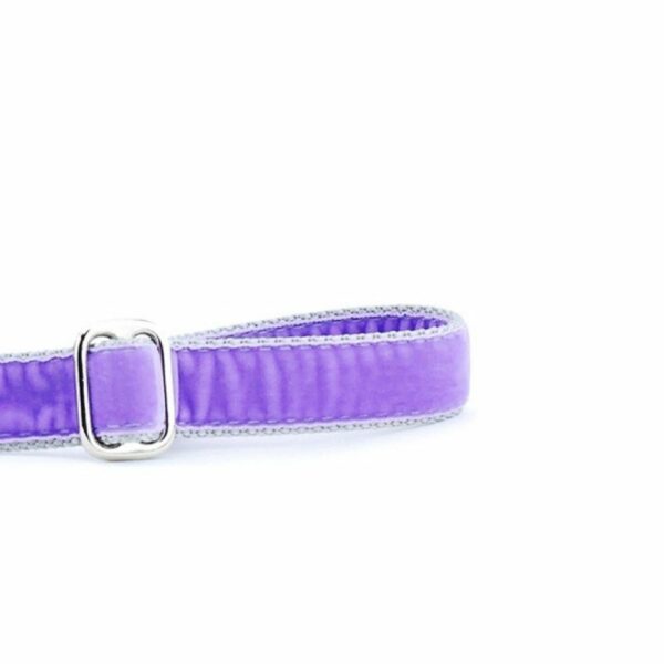 Lavender Velvet Dog Leash by 2 Hounds Design