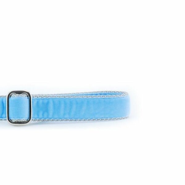 Light Blue Velvet Dog Leash by 2 Hounds Design