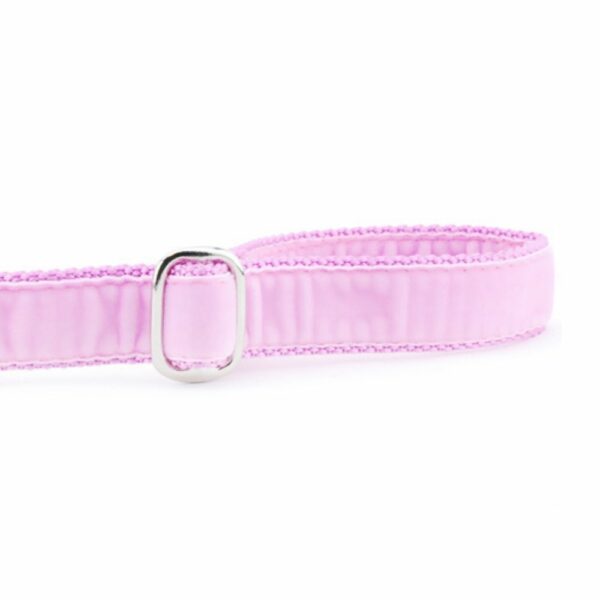Light Pink Velvet Dog Leash by 2 Hounds Design