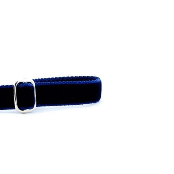 Navy Velvet Dog Leash by 2 Hounds Design