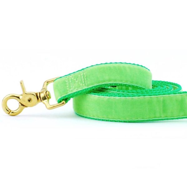 Lime Green Velvet Dog Leash by 2 Hounds Design