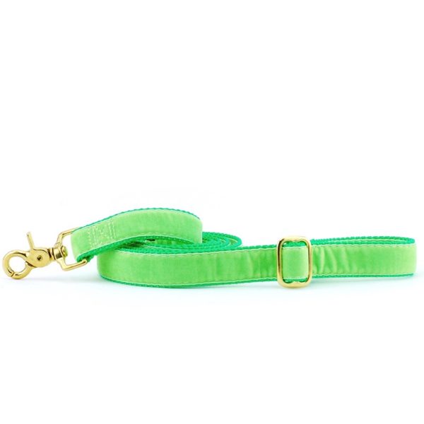 Lime Green Velvet Dog Leash by 2 Hounds Design
