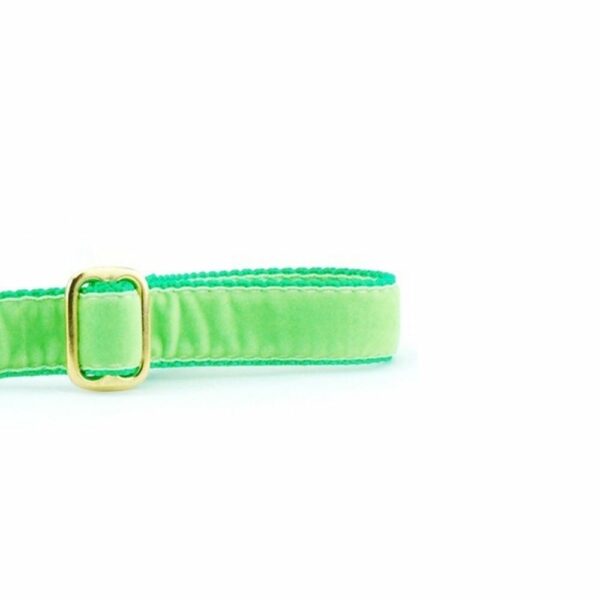Lime Green Velvet Dog Leash by 2 Hounds Design
