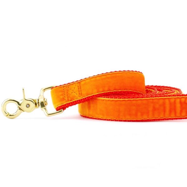 Orange Velvet Dog Leash (1″ Only) by 2 Hounds Design