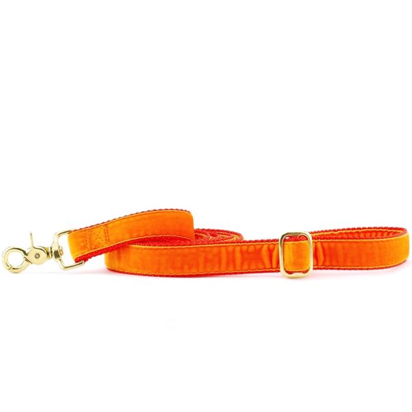 Orange Velvet Dog Leash (1″ Only) by 2 Hounds Design
