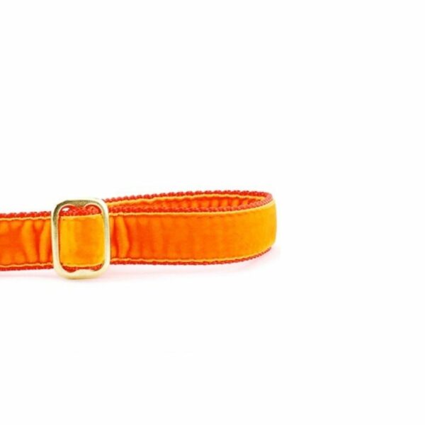 Orange Velvet Dog Leash (1″ Only) by 2 Hounds Design