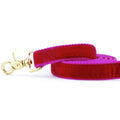 Raspberry Velvet Dog Leash by 2 Hounds Design
