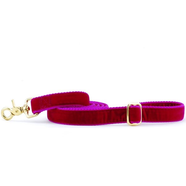 Raspberry Velvet Dog Leash by 2 Hounds Design