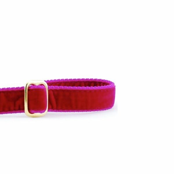 Raspberry Velvet Dog Leash by 2 Hounds Design