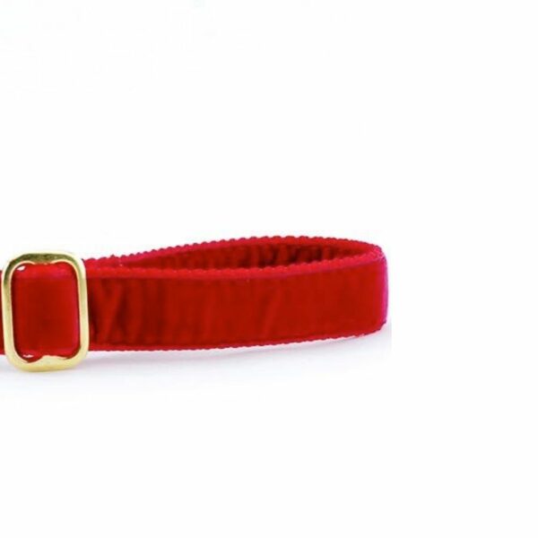 Red Velvet Dog Leash by 2 Hounds Design