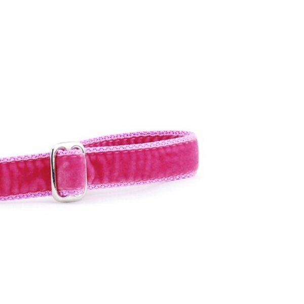 Rose Pink Velvet Dog Leash by 2 Hounds Design