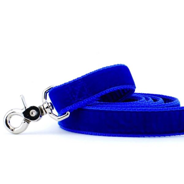 Royal Blue Velvet Dog Leash by 2 Hounds Design