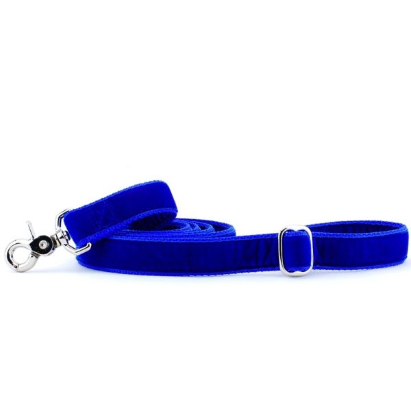 Royal Blue Velvet Dog Leash by 2 Hounds Design