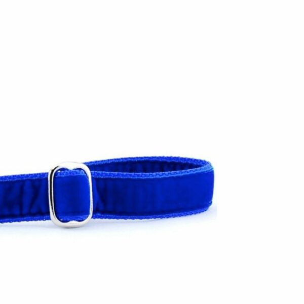 Royal Blue Velvet Dog Leash by 2 Hounds Design