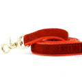 Rust Velvet Dog Leash (1″ Only) by 2 Hounds Design