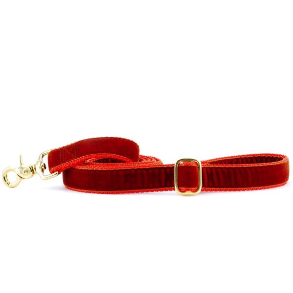 Rust Velvet Dog Leash (1″ Only) by 2 Hounds Design