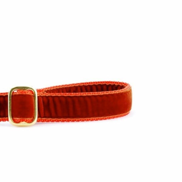 Rust Velvet Dog Leash (1″ Only) by 2 Hounds Design