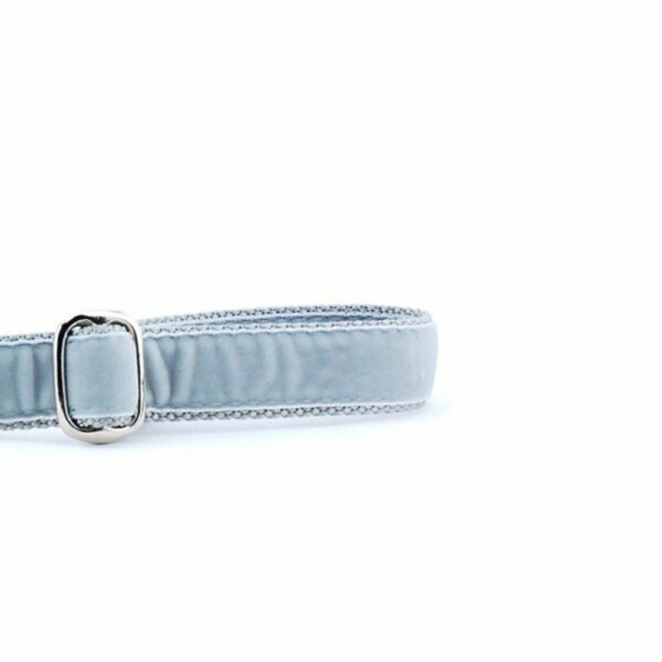 Silver Velvet Dog Leash by 2 Hounds Design