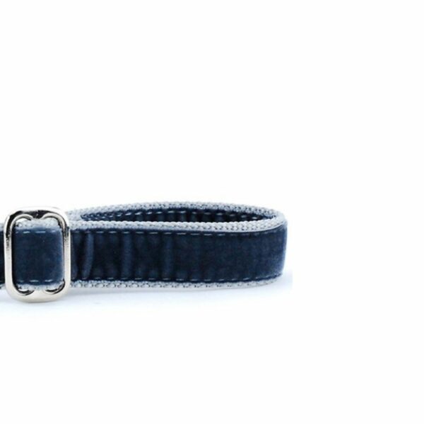 Smoke Gray Velvet Dog Leash by 2 Hounds Design