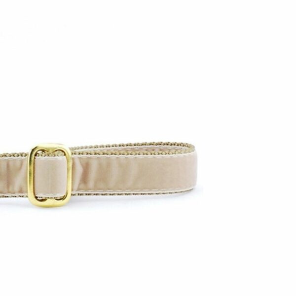Tan Velvet Dog Leash by 2 Hounds Design