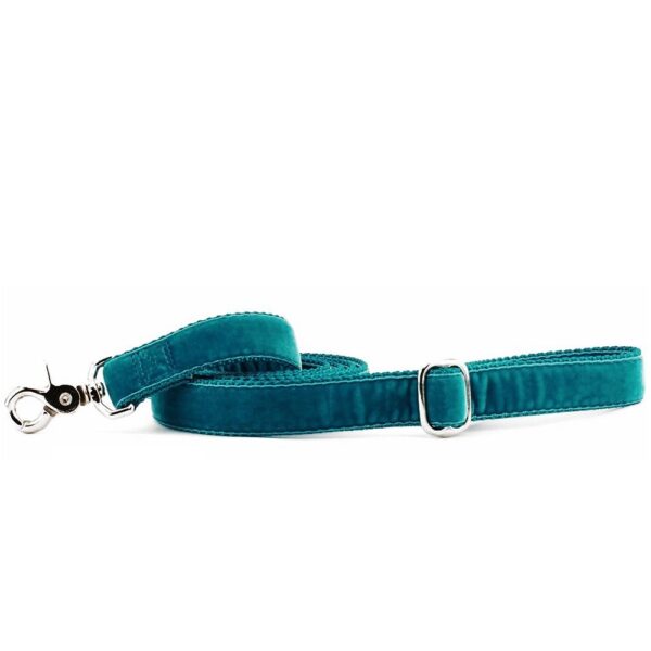 Teal Velvet Dog Leash by 2 Hounds Design