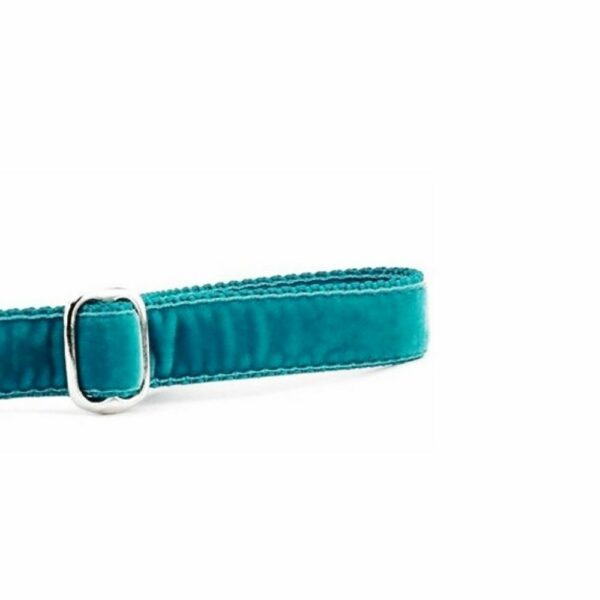 Teal Velvet Dog Leash by 2 Hounds Design