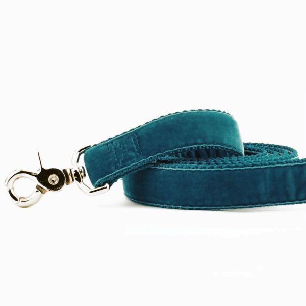 Teal Velvet Dog Leash by 2 Hounds Design
