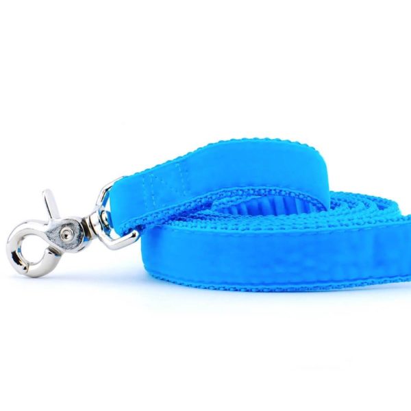 Turquoise Velvet Dog Leash by 2 Hounds Design