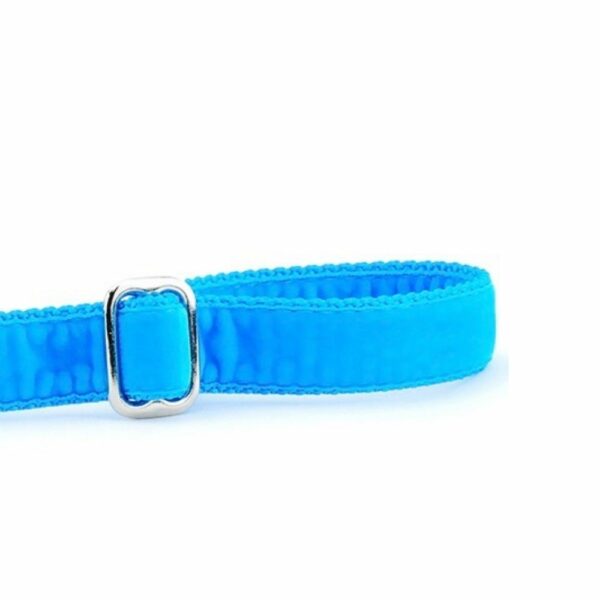Turquoise Velvet Dog Leash by 2 Hounds Design