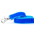 Venetian Blue Velvet Dog Leash by 2 Hounds Design