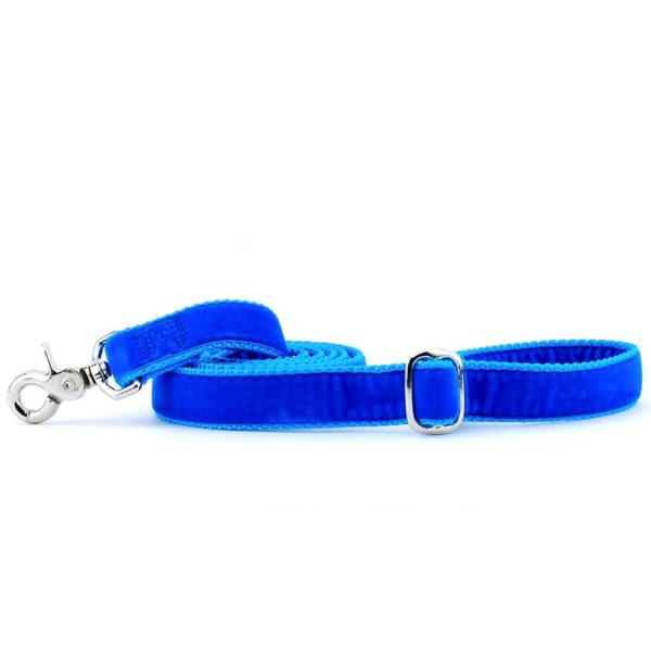 Venetian Blue Velvet Dog Leash by 2 Hounds Design