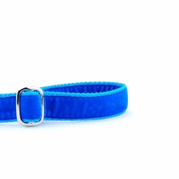 Venetian Blue Velvet Dog Leash by 2 Hounds Design