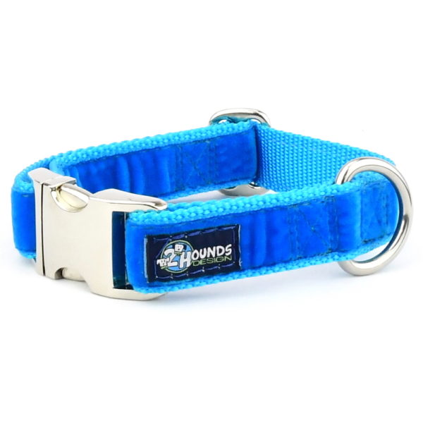 Venetian Blue Velvet Essential Dog Collar by 2 Hounds Design