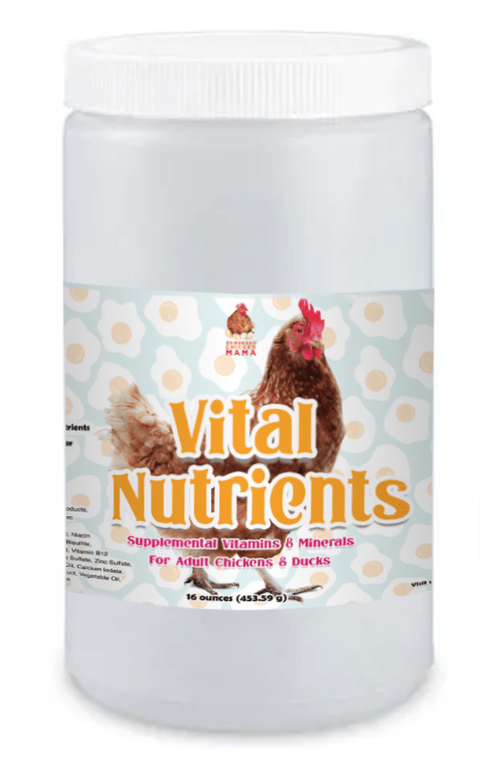 Winter Support Bundle: 8 Products For A Healthy Wintertime Coop! (13 pounds total) by Dahlia Pets