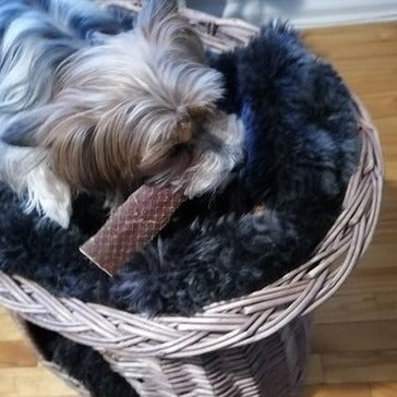 6 Inch Beef Jerky Strip by Bully Bunches