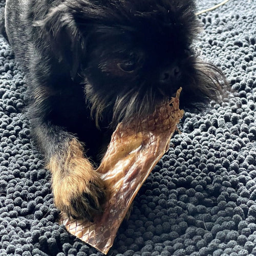 6 Inch Beef Jerky Strip by Bully Bunches