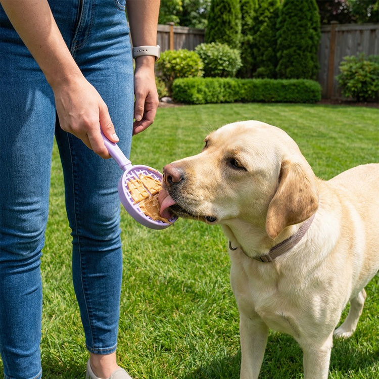 eStick Hand-Held Dog Enrichment Toy - Interactive Lick Stick | USA Made by SodaPup/True Dogs, LLC