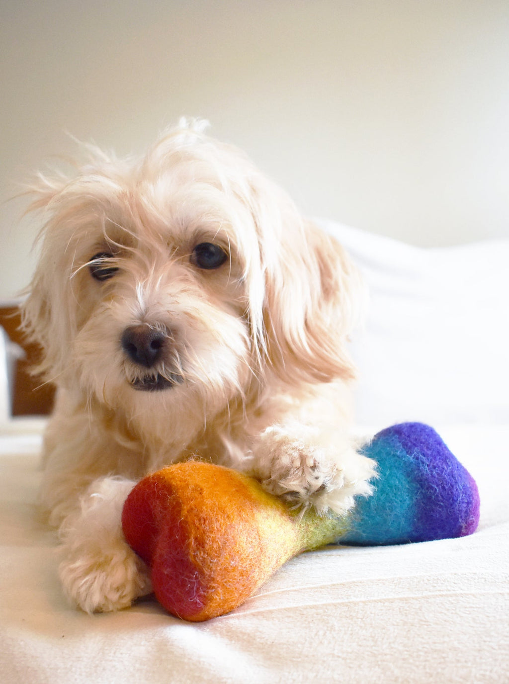 RAINBOW WOOLBONE by MODERNBEAST
