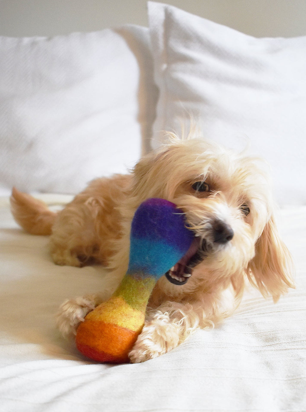 RAINBOW WOOLBONE by MODERNBEAST