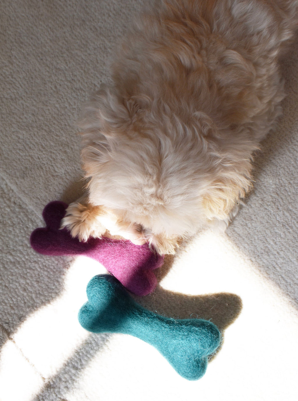 CLASSIC WOOLBONE DOG TOY by MODERNBEAST