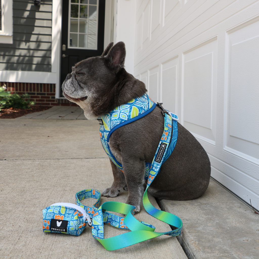 Frenchie Duo Reversible Harness - Waikiki by Frenchie Bulldog