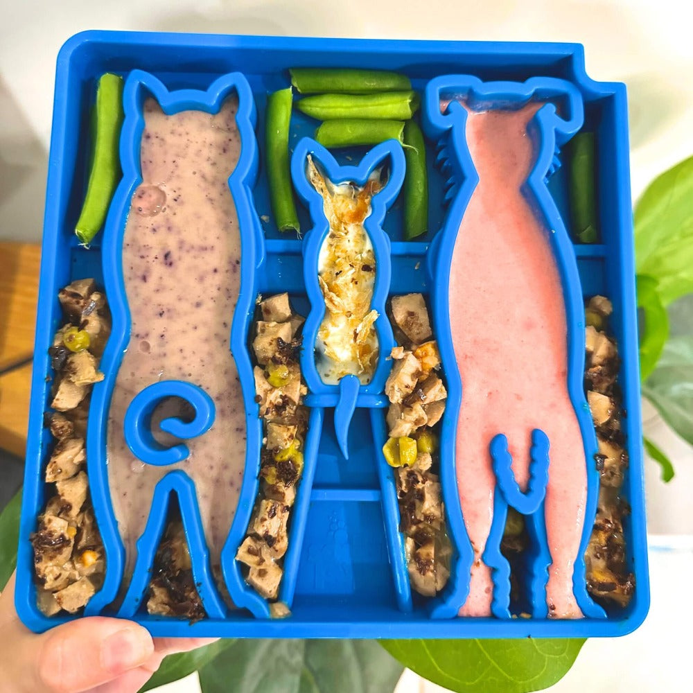 Waiting Dogs eTray - Shallow Slow Feeder Bowl for Enrichment | USA Made by SodaPup/True Dogs, LLC