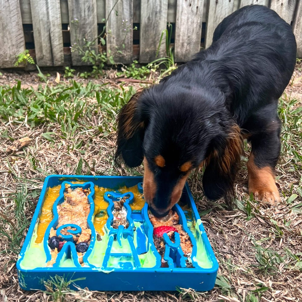 Waiting Dogs eTray - Shallow Slow Feeder Bowl for Enrichment | USA Made by SodaPup/True Dogs, LLC